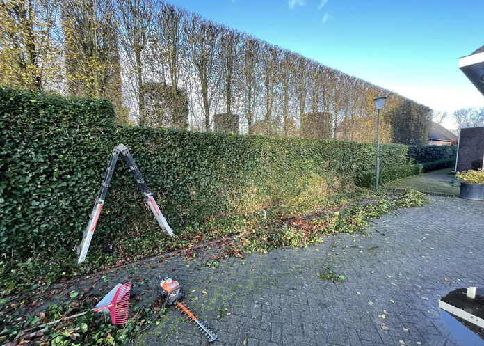 Tuinaanleg door Buitenvisie